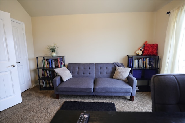 carpeted living room with lofted ceiling and plenty of natural light