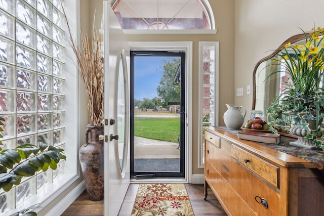 foyer entrance with dark hardwood / wood-style floors