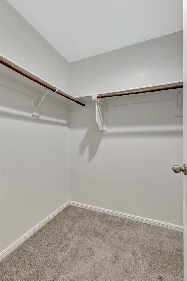 walk in closet featuring carpet flooring