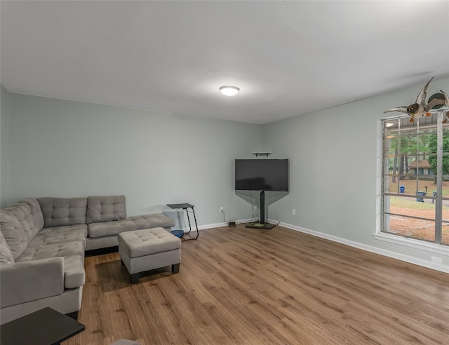 living room with ceiling fan and wood-type flooring