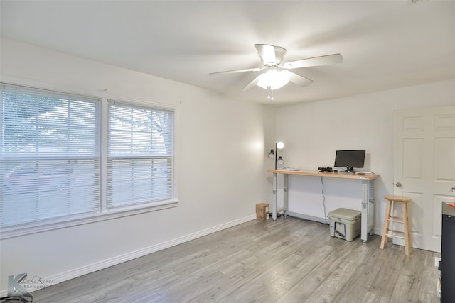 office featuring ceiling fan and light hardwood / wood-style floors