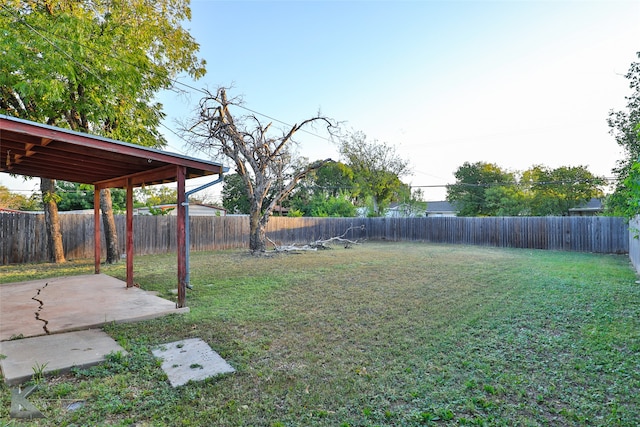 view of yard featuring a patio area