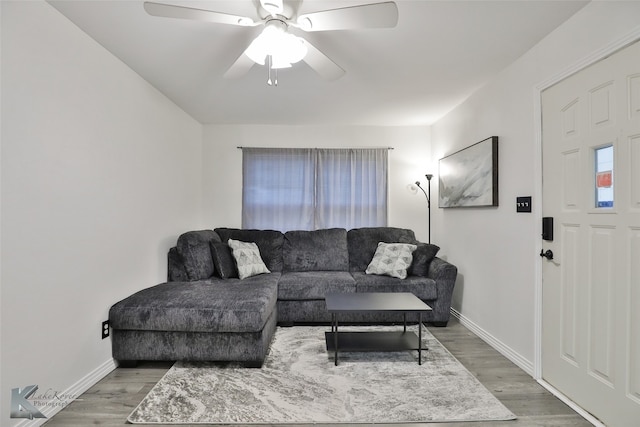 living room with ceiling fan and wood-type flooring