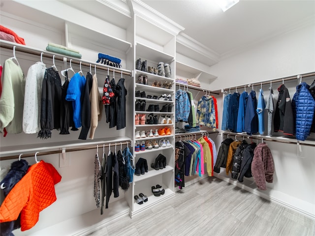 view of walk in closet