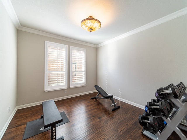 workout room featuring ornamental molding and dark wood-type flooring