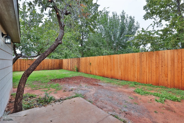 view of yard with a patio