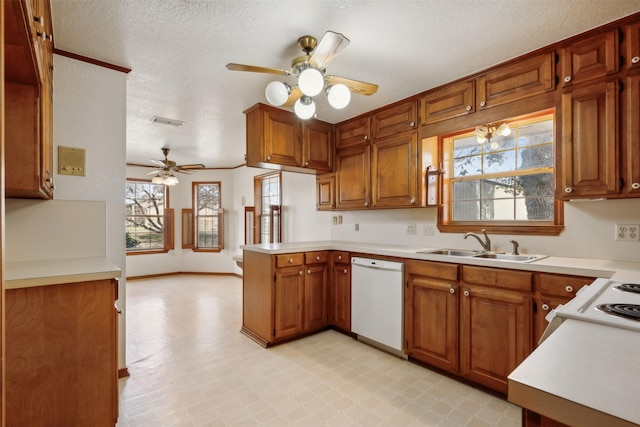 kitchen with white dishwasher, ceiling fan with notable chandelier, sink, and a textured ceiling