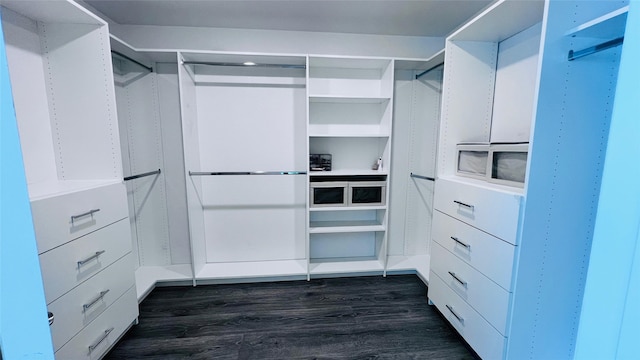 walk in closet featuring dark hardwood / wood-style flooring