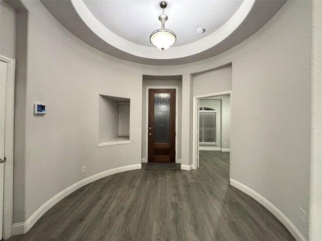 foyer with a raised ceiling and dark wood-type flooring