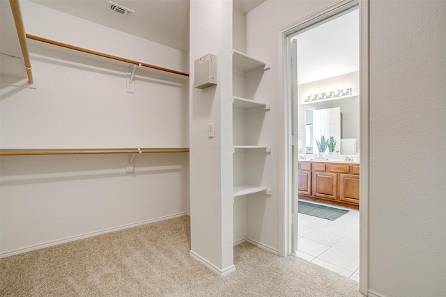 spacious closet with light colored carpet