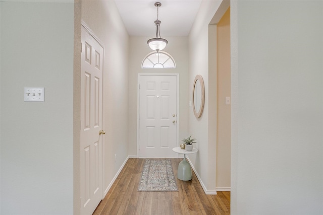 doorway featuring hardwood / wood-style floors