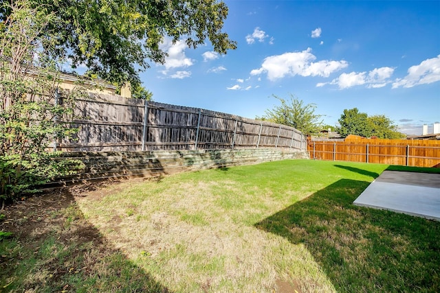 view of yard featuring a patio