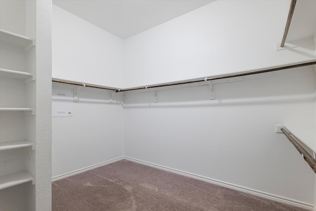 spacious closet with carpet flooring