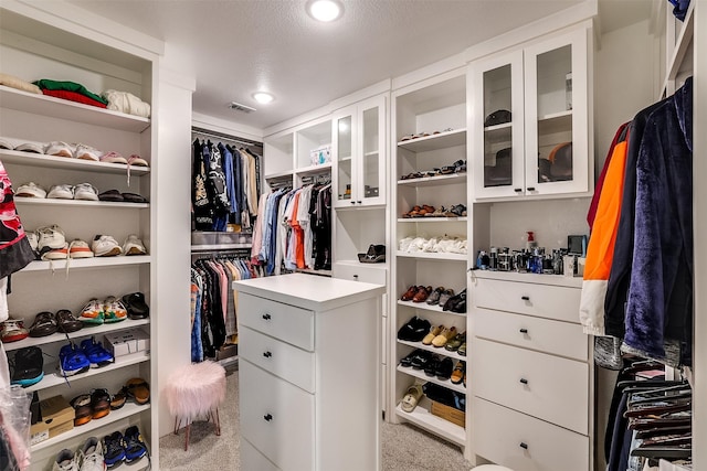 walk in closet with light colored carpet