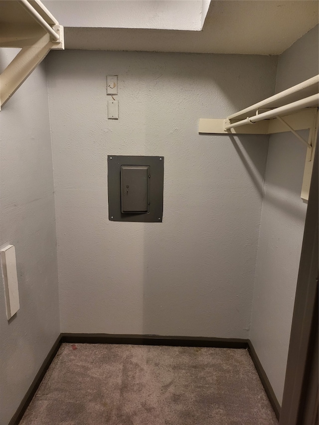 spacious closet featuring electric panel and carpet