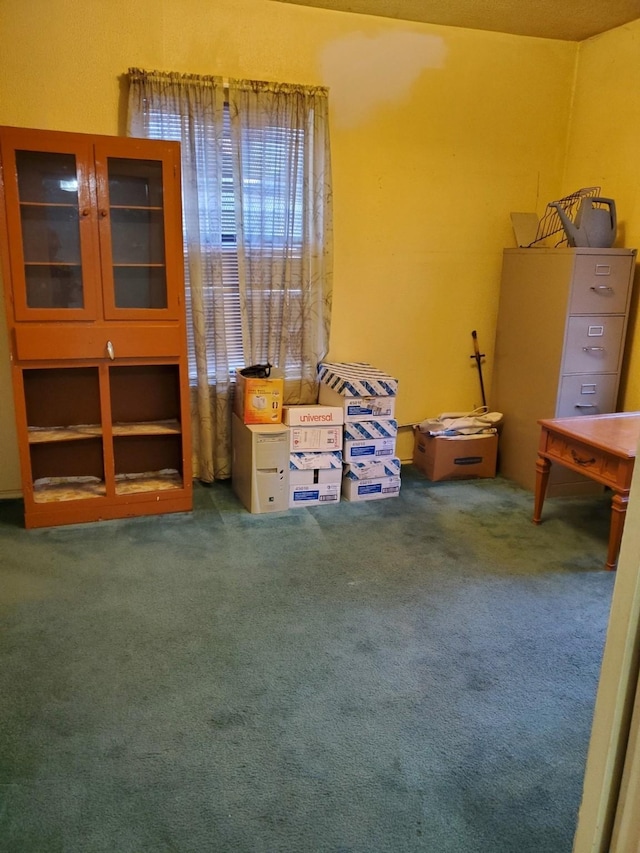 miscellaneous room with carpet flooring