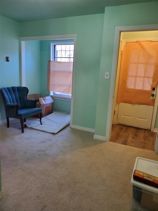 sitting room featuring light carpet