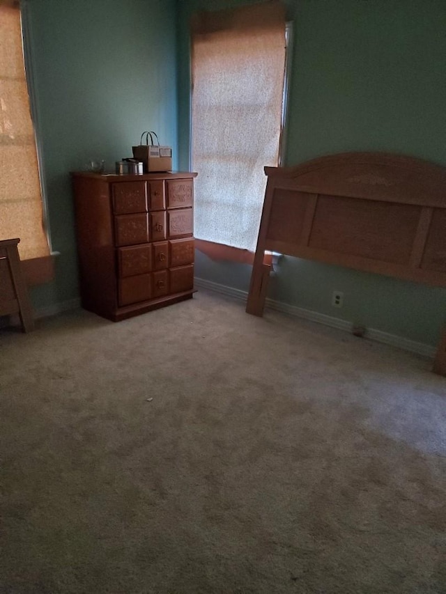 bedroom with carpet floors