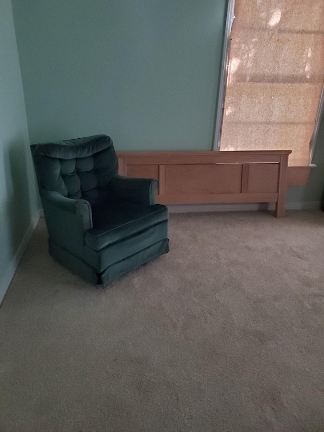 sitting room featuring carpet floors