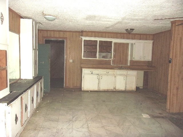 interior space featuring cream cabinets, sink, and wood walls