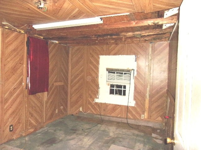 basement featuring wood walls