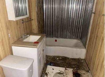 bathroom with toilet, vanity, wooden walls, and a washtub