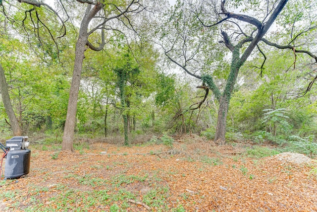 view of local wilderness