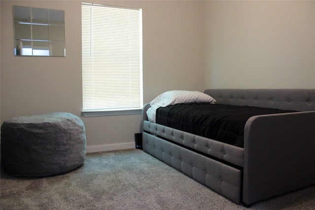 bedroom featuring carpet flooring