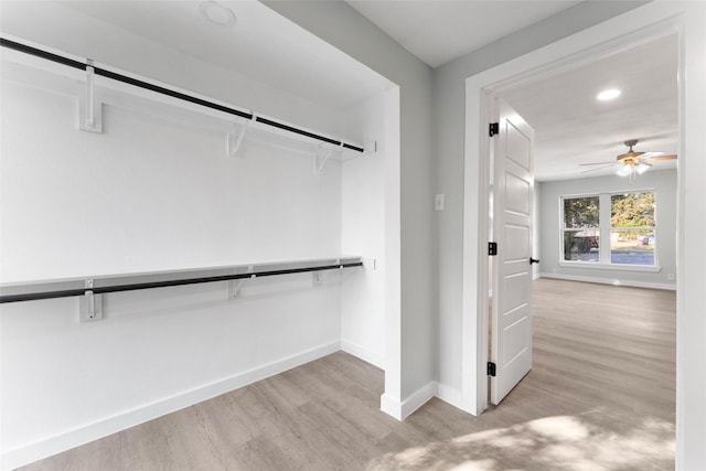 walk in closet featuring wood finished floors and ceiling fan