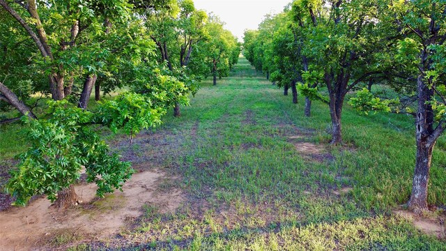 TBD3 Fm 2318, Comanche TX, 76442 land for sale