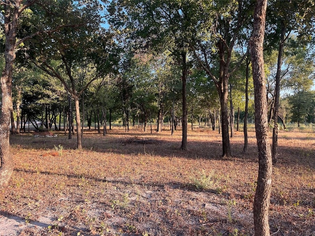 194 Brandon Ln, Chico TX, 76431 land for sale