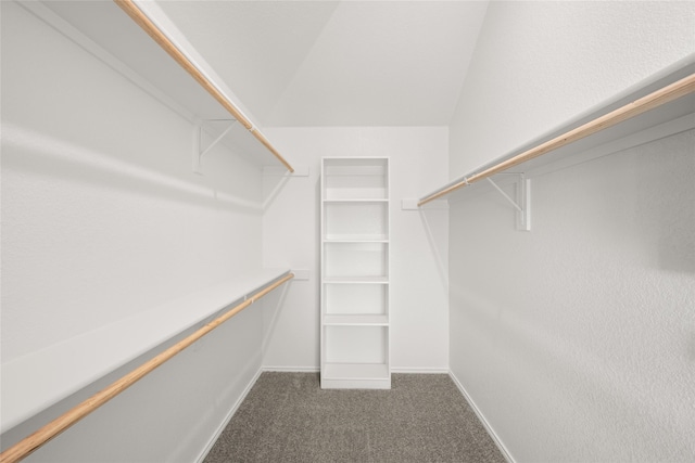 spacious closet with dark carpet