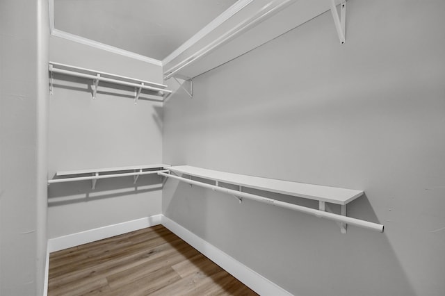 walk in closet featuring hardwood / wood-style flooring