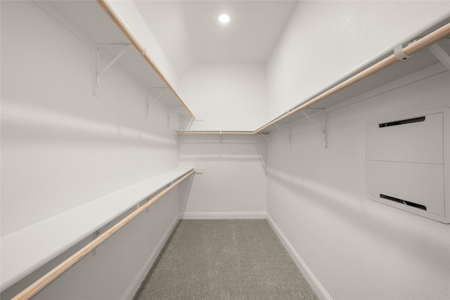 walk in closet with carpet floors