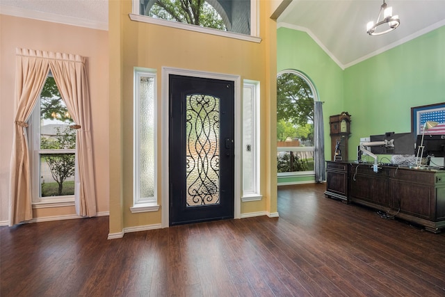 entryway with a wealth of natural light, dark wood-type flooring, and high vaulted ceiling