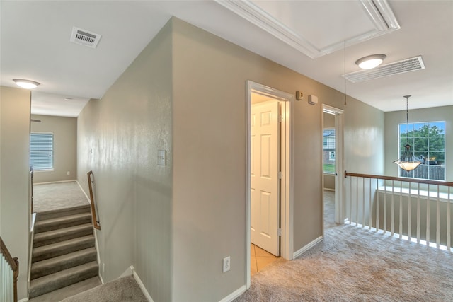 corridor with crown molding and light colored carpet