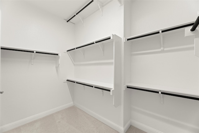 3601 Long Branch Blvd, Rowlett, TX 75088 - walk in closet with light carpet