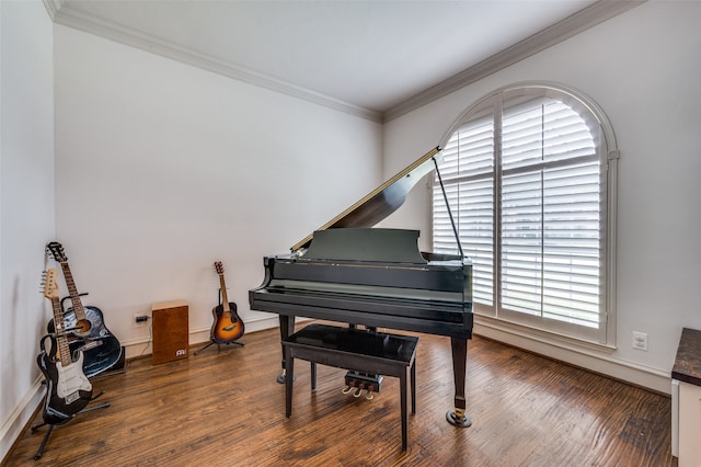 miscellaneous room with a healthy amount of sunlight, ornamental molding, and dark hardwood / wood-style floors