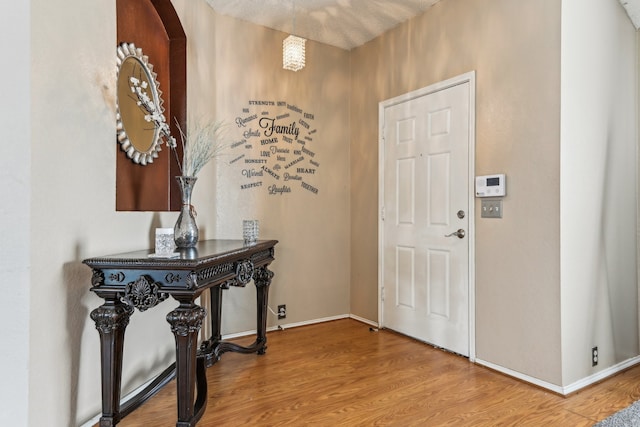 foyer entrance featuring a textured ceiling and wood-type flooring