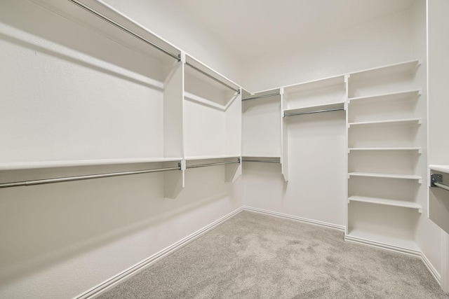 spacious closet featuring carpet floors