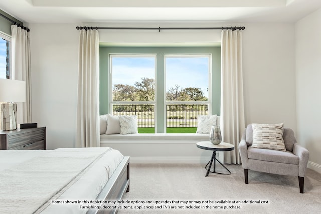 carpeted bedroom with multiple windows