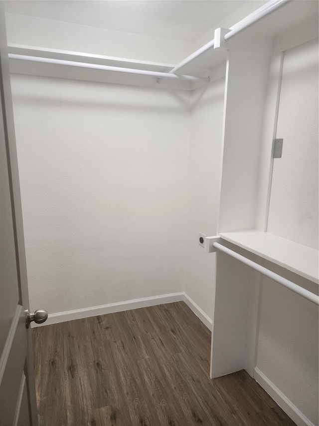 walk in closet with dark wood-type flooring