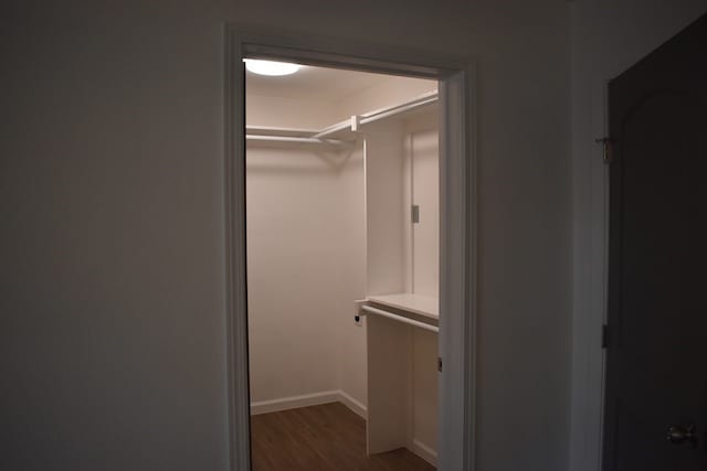 spacious closet with dark wood-type flooring