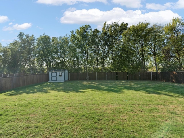 view of yard featuring a storage unit