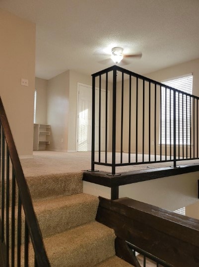 stairway featuring a textured ceiling and carpet