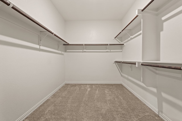 walk in closet featuring carpet