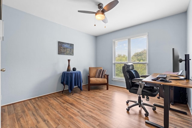 office space with light hardwood / wood-style flooring and ceiling fan