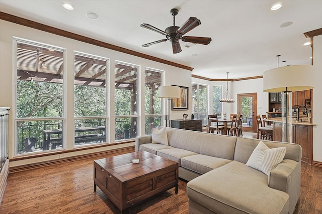 living room with sink, ornamental molding, dark hardwood / wood-style flooring, and ceiling fan with notable chandelier