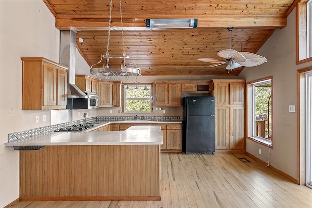 kitchen featuring stainless steel appliances, kitchen peninsula, light hardwood / wood-style floors, and a wealth of natural light