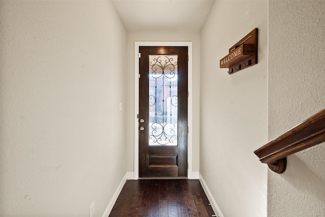 foyer with dark hardwood / wood-style flooring and a wealth of natural light